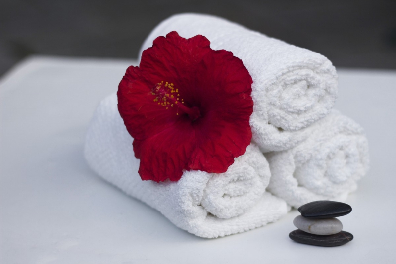 hotel-ST RAPHAEL-min_towel_hibiscus_clean_care_salon_spa_white_bath-869834